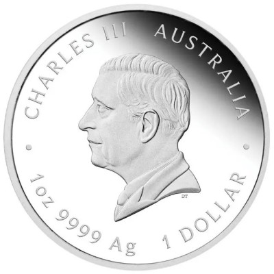 "One Love" 2025 - 1 Oz - ezüst ajándék érme