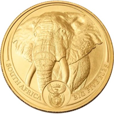 Big Five Elefánt (2025) - 1 Oz - arany befektetési érme