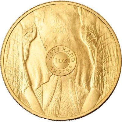 Big Five Elefánt (2025) - 1 Oz - arany befektetési érme