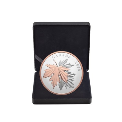 Csillogó juharlevelek - 10 Oz - ezüst gyűjtői érme (szállítás 12.6.2025)