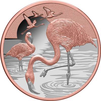 Flamingó (2025) - 1 Oz - ezüst gyűjtői érme