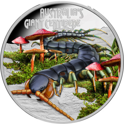 Óriás százlábú (2026) - 1 Oz ezüst érme (Proof) gyűjtői érme
