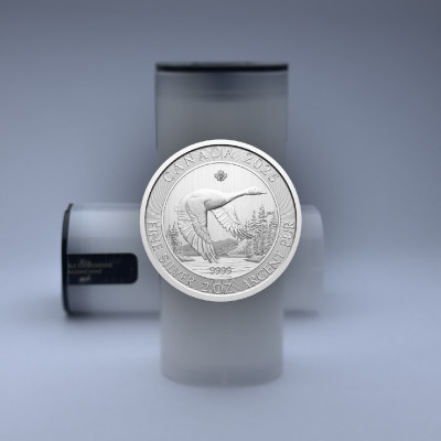 Üres Tubus Goose 2 Oz érmékhez, átmérő 38mm