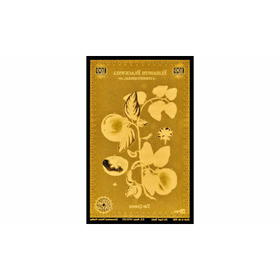 Blackwell Botanical - 24k Gold Series készlet